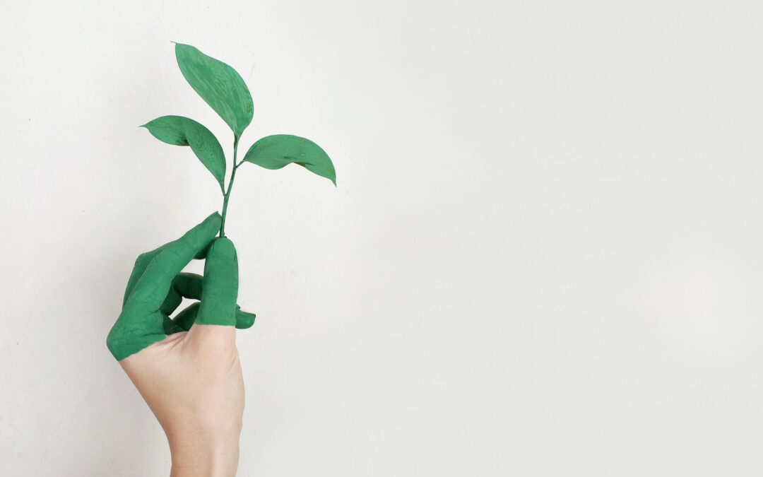 Meaningful action v. Greenwashing